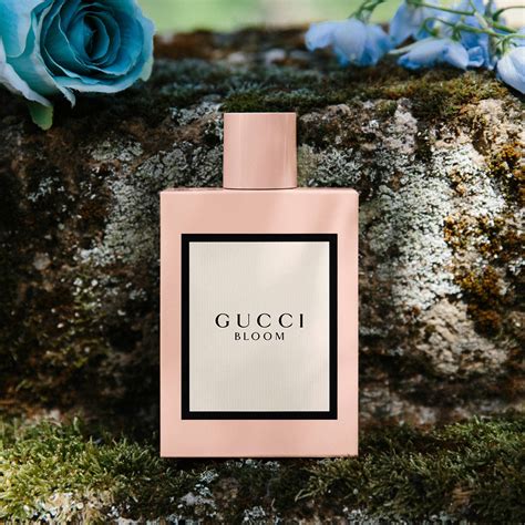 gucci bloom pink